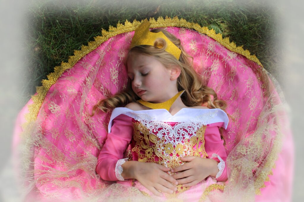 4 Year Old Cinderella Preschool Photoshoot Learning With My Boys