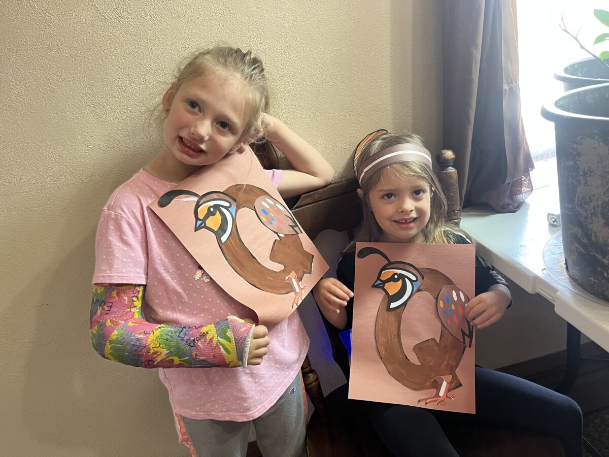 Q is for Quail (preschool)