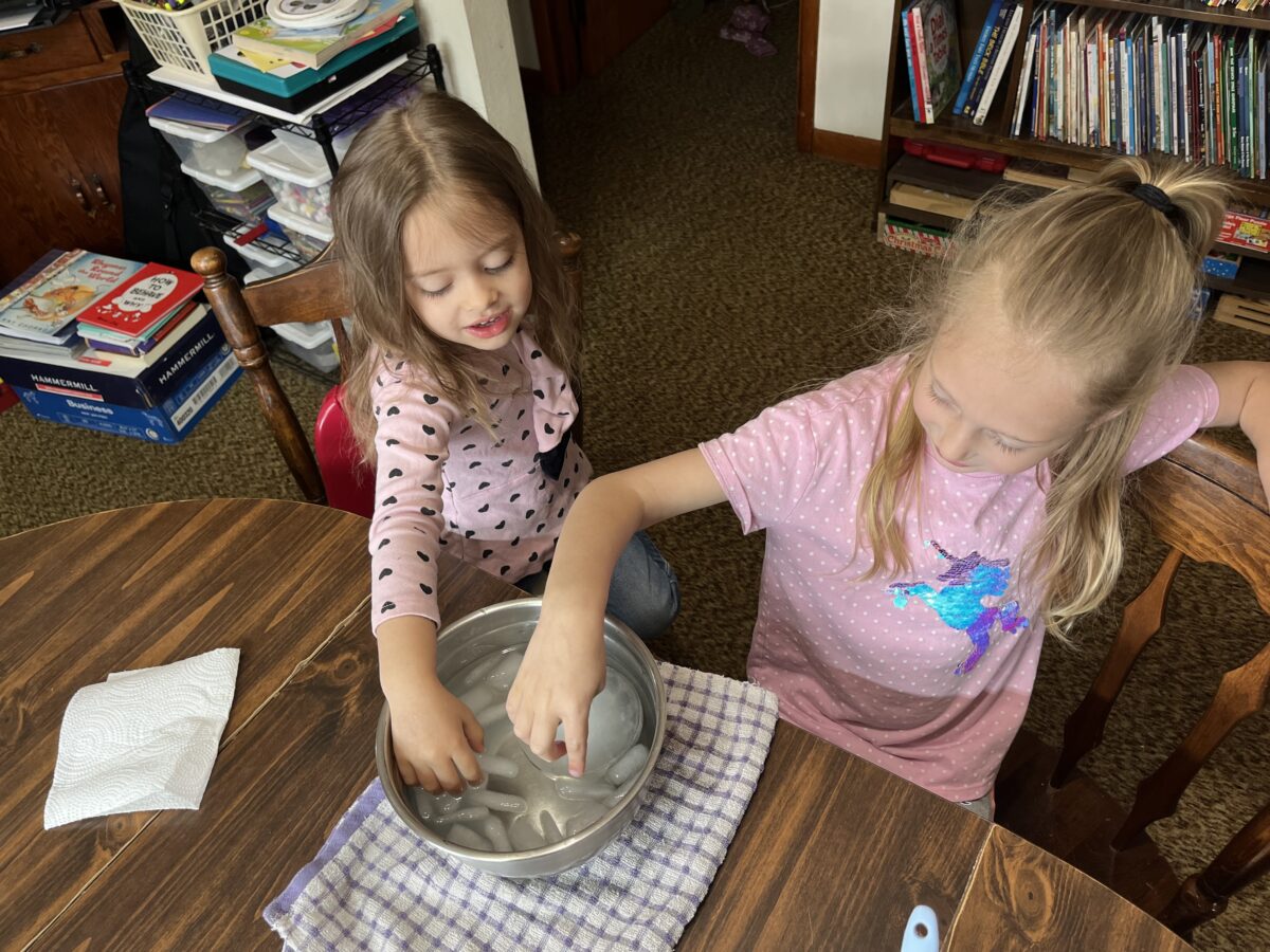 S is for Seal (preschool)