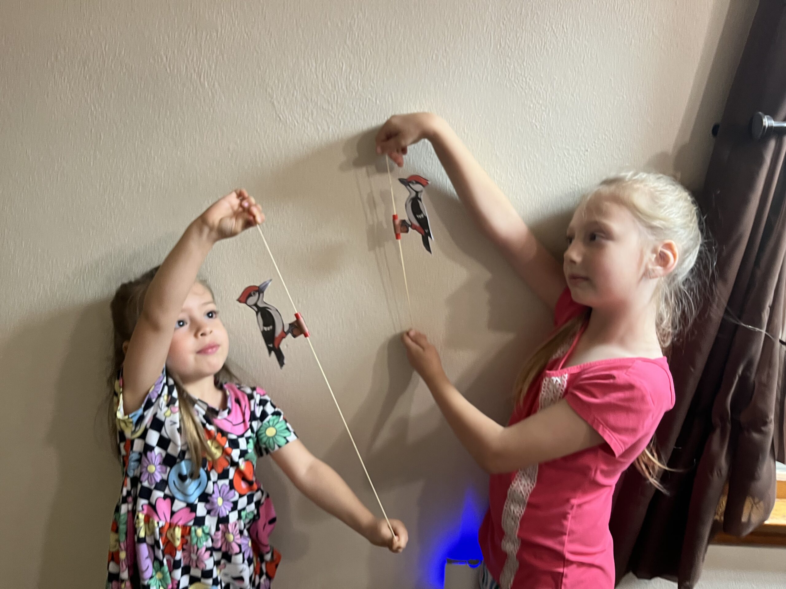 W is for Woodpecker (preschool)