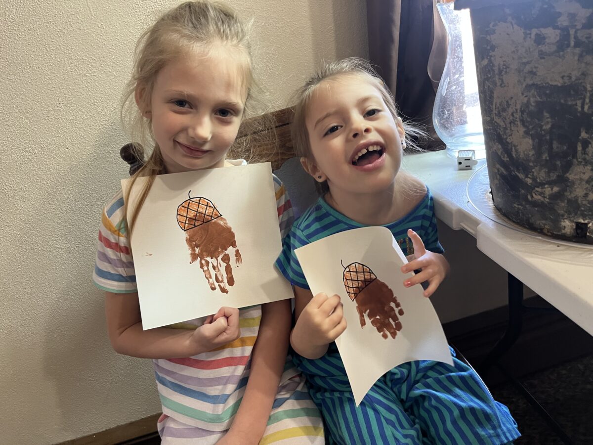 N is for Nuts (preschool)